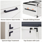 Farmhouse 2 Drawer File Cabinet, Lateral Filing Cabinet with Lock
