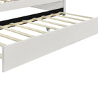 White Full Size Upholstery Daybed with Shall Shaped Backrest and Trundle for Bedroom