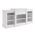 65.75  TV Stand with Large Storage Cabinet and Adjustable Shelves for TVs Up to 65