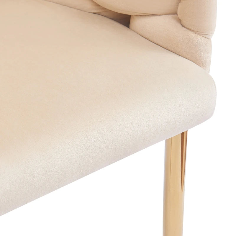 Modern 29.5 Velvet Arm Chairs with Gold Legs and Metal Frame for Living Room (Set of 2)