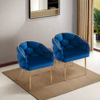 Modern 29.5 Velvet Arm Chairs with Gold Legs and Metal Frame for Living Room (Set of 2)