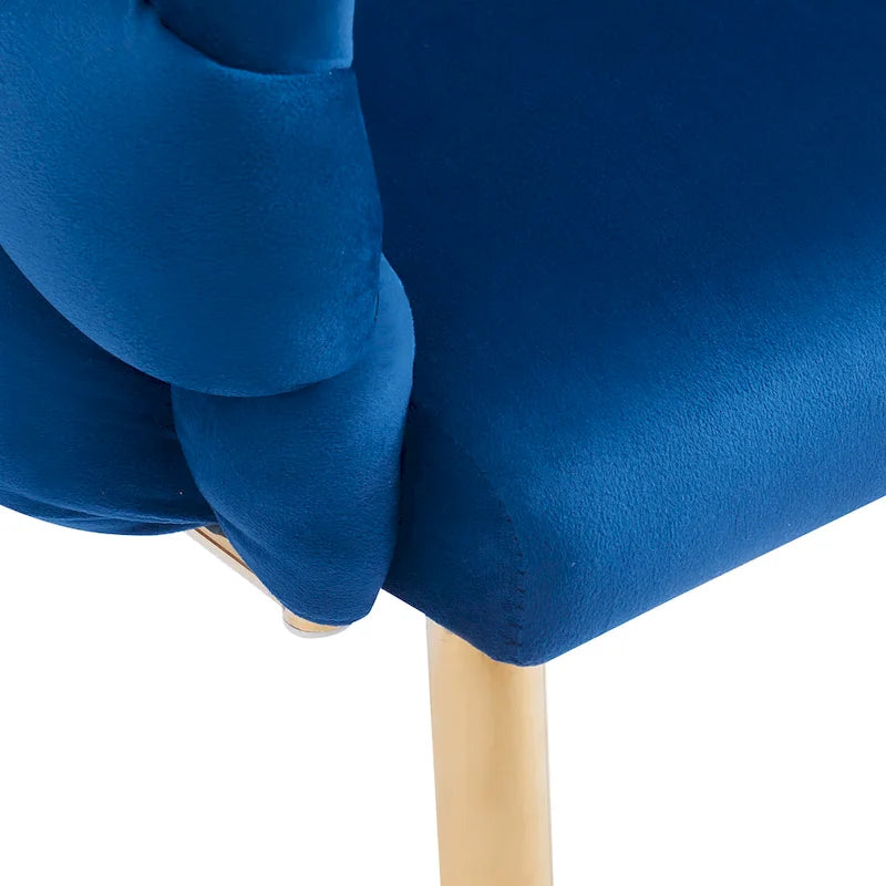 Modern 29.5 Velvet Arm Chairs with Gold Legs and Metal Frame for Living Room (Set of 2)