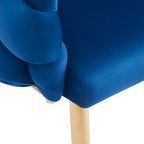 Modern 29.5 Velvet Arm Chairs with Gold Legs and Metal Frame for Living Room (Set of 2)