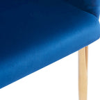 Modern 29.5 Velvet Arm Chairs with Gold Legs and Metal Frame for Living Room (Set of 2)
