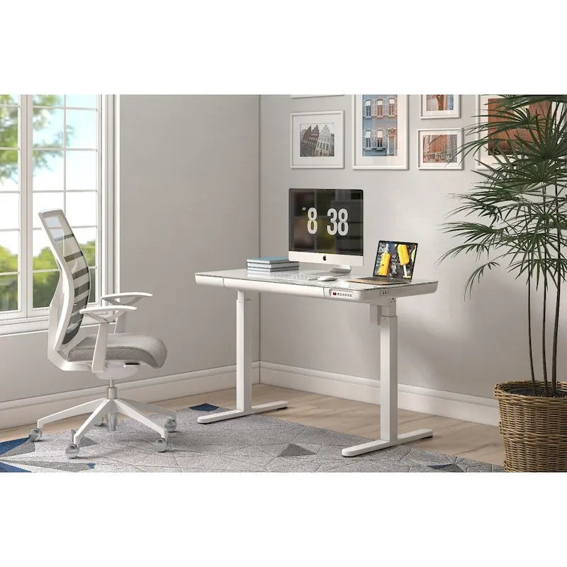 KOWO 48 Inch Glass Electric Standing Desk with Tempered Glass Top Adjustable Height Sit Stand Workstation for Modern Office