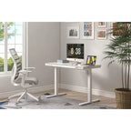 KOWO 48 Inch Glass Electric Standing Desk with Tempered Glass Top Adjustable Height Sit Stand Workstation for Modern Office