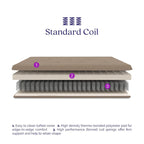 DHP Trule 6-Inch Bonnell Coil Futon Mattress