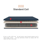 DHP Trule 6-Inch Bonnell Coil Futon Mattress