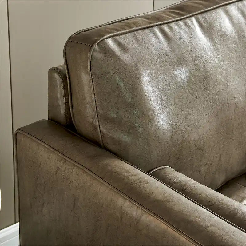 Modern Mid-Century Loceseat Sofa For Livingroom