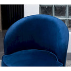 Roundhill Furniture Wania Contemporary Velvet Swivel Chair, Blue