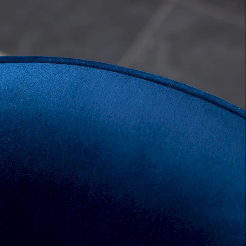 Roundhill Furniture Wania Contemporary Velvet Swivel Chair, Blue