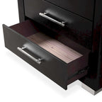 Furniture of America Alaric Modern Black Solid Wood 5-Drawer Storage Chest With Cedar-Lined Bottom Drawer