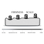 Polyester 3-Seat and 2-Seat Sofa with Cushions